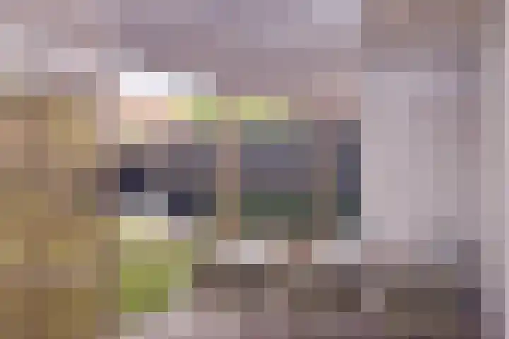 Daalplein 7 Heel thumbnail 43