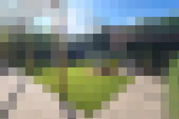 Daalplein 7 Heel thumbnail 7