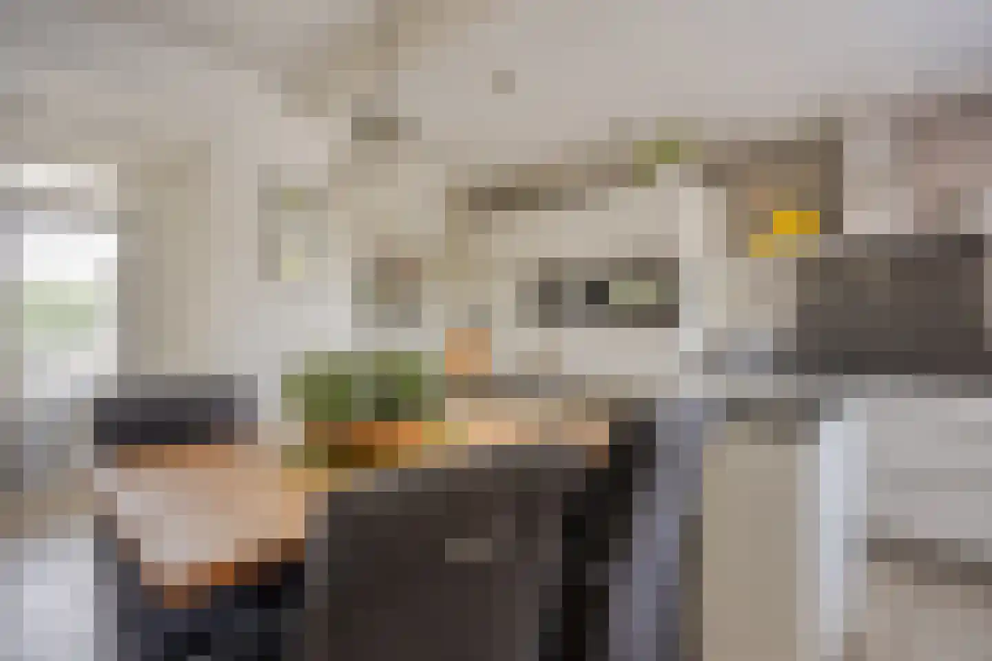 Daalplein 8 Heel thumbnail 12