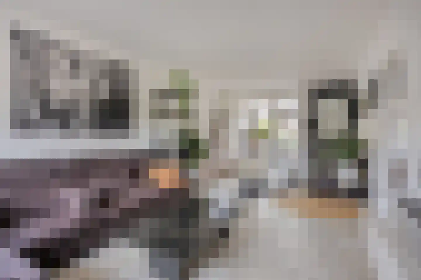 Daalplein 8 Heel thumbnail 18