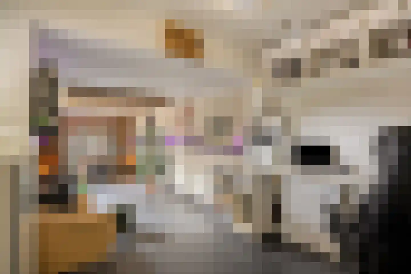 Daalplein 8 Heel thumbnail 22