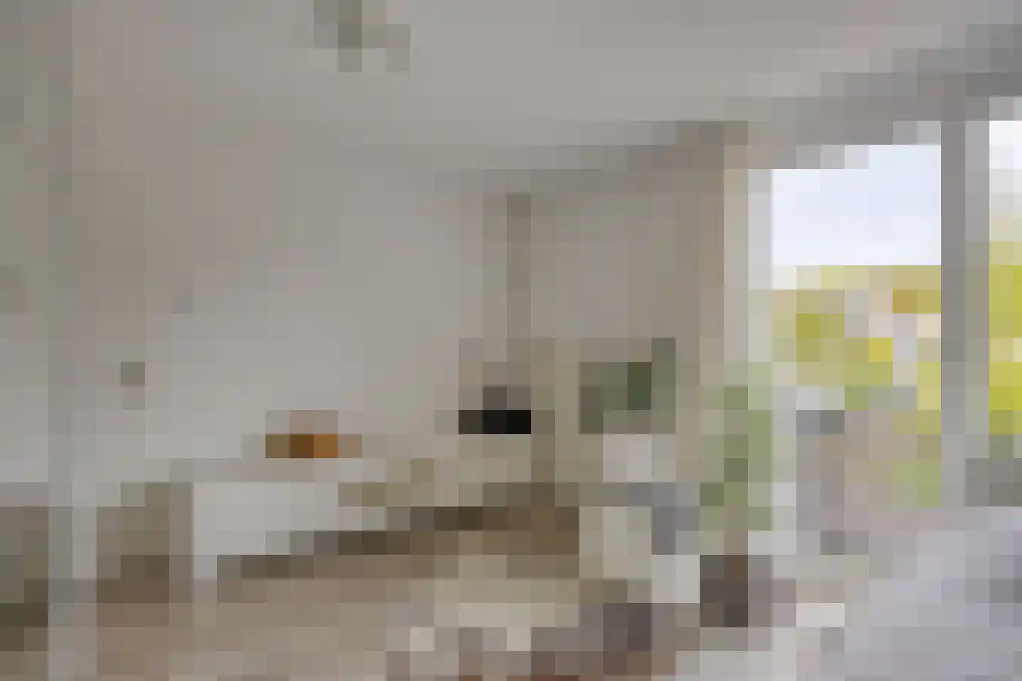 Daalplein 8 Heel thumbnail 36