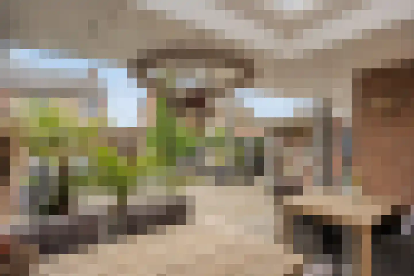 Daalplein 8 Heel thumbnail 48