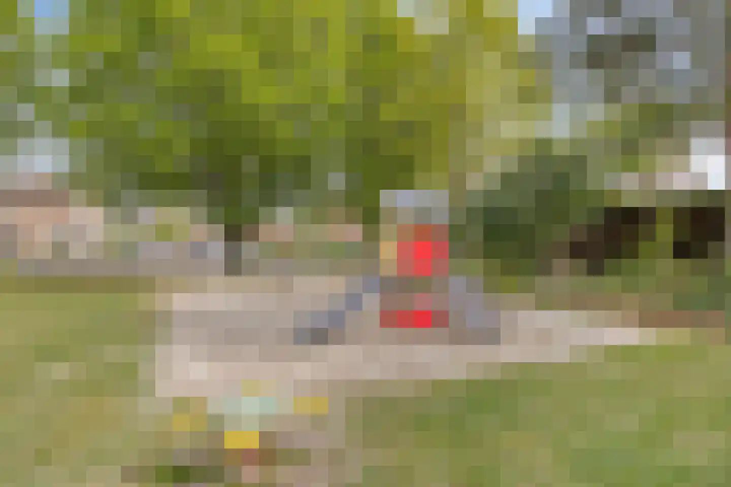 Daalplein 8 Heel thumbnail 58