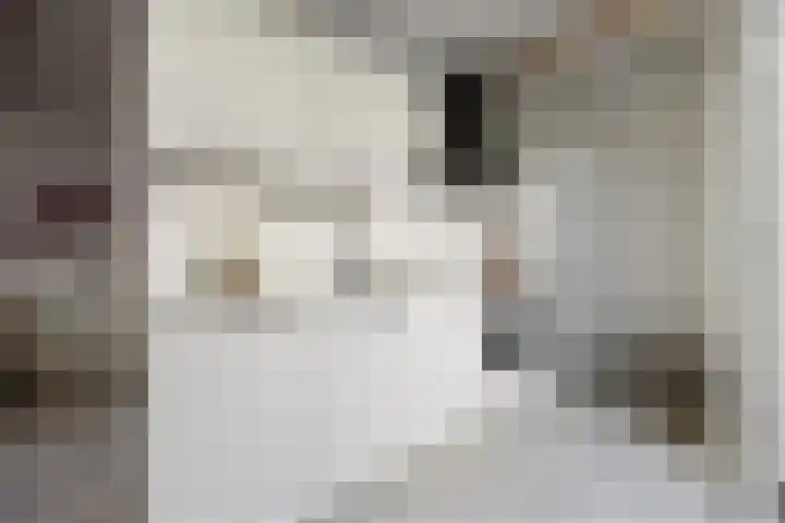 Daalsehof 11 A Nijmegen thumbnail 12