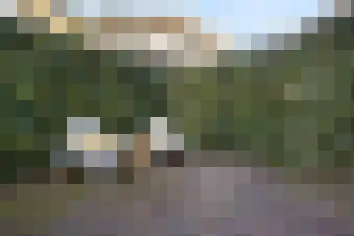 Daalsehof 11 A Nijmegen thumbnail 25