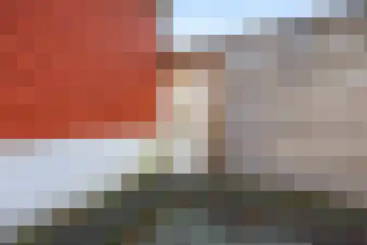 Daalsehof 11 A Nijmegen thumbnail 30