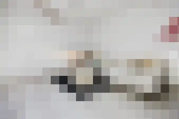 Daalsehof 11 A Nijmegen thumbnail 7