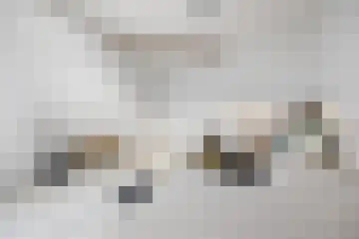 Daalsehof 11 A Nijmegen thumbnail 8