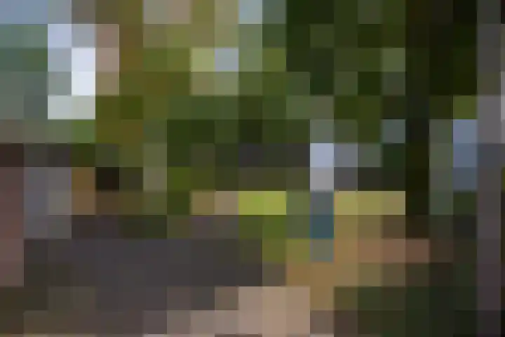 Daalsehof 11 Nijmegen thumbnail 24
