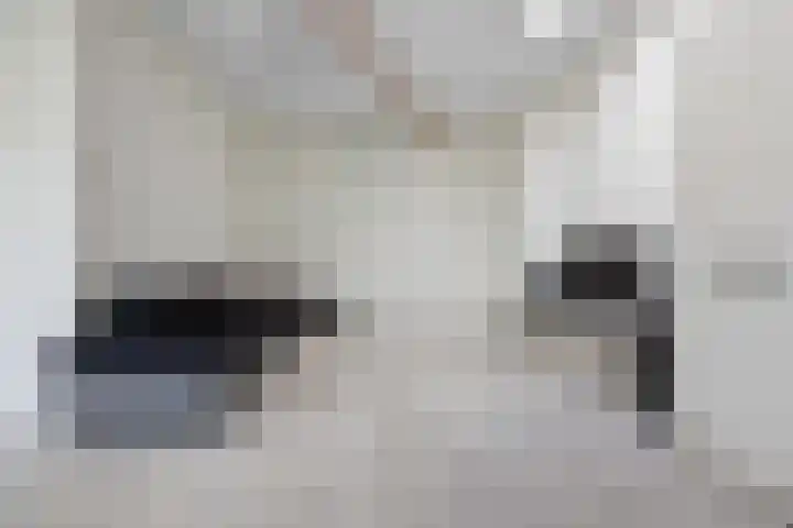 Daalsehof 11 Nijmegen thumbnail 8