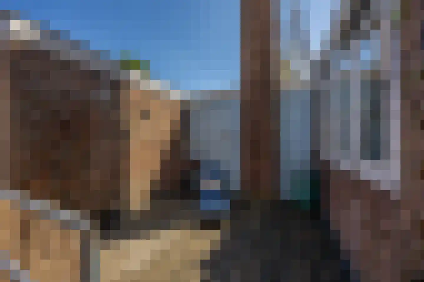 Daalsehof 5 A Nijmegen thumbnail 30