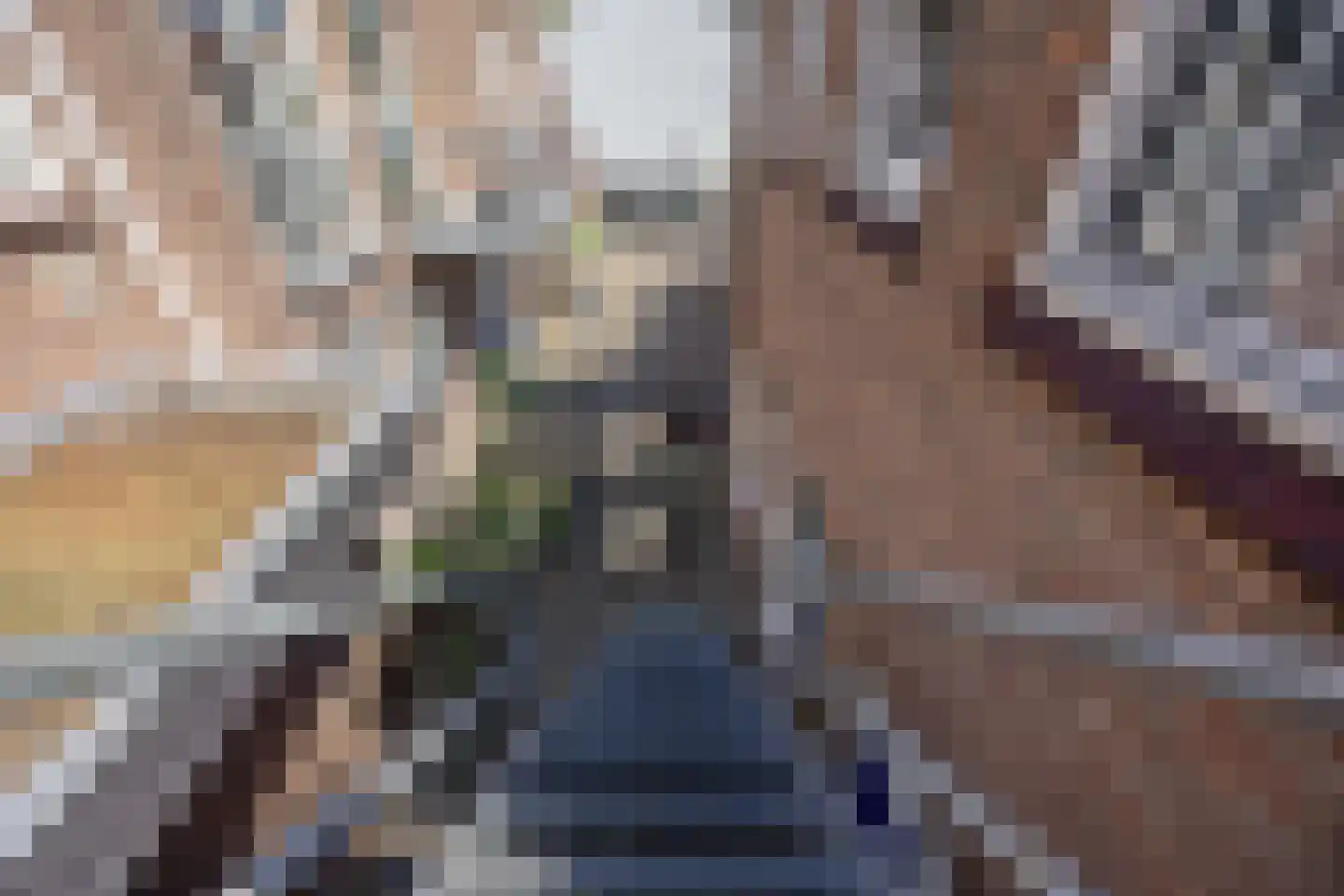 Daalsehof 5 A Nijmegen thumbnail 4
