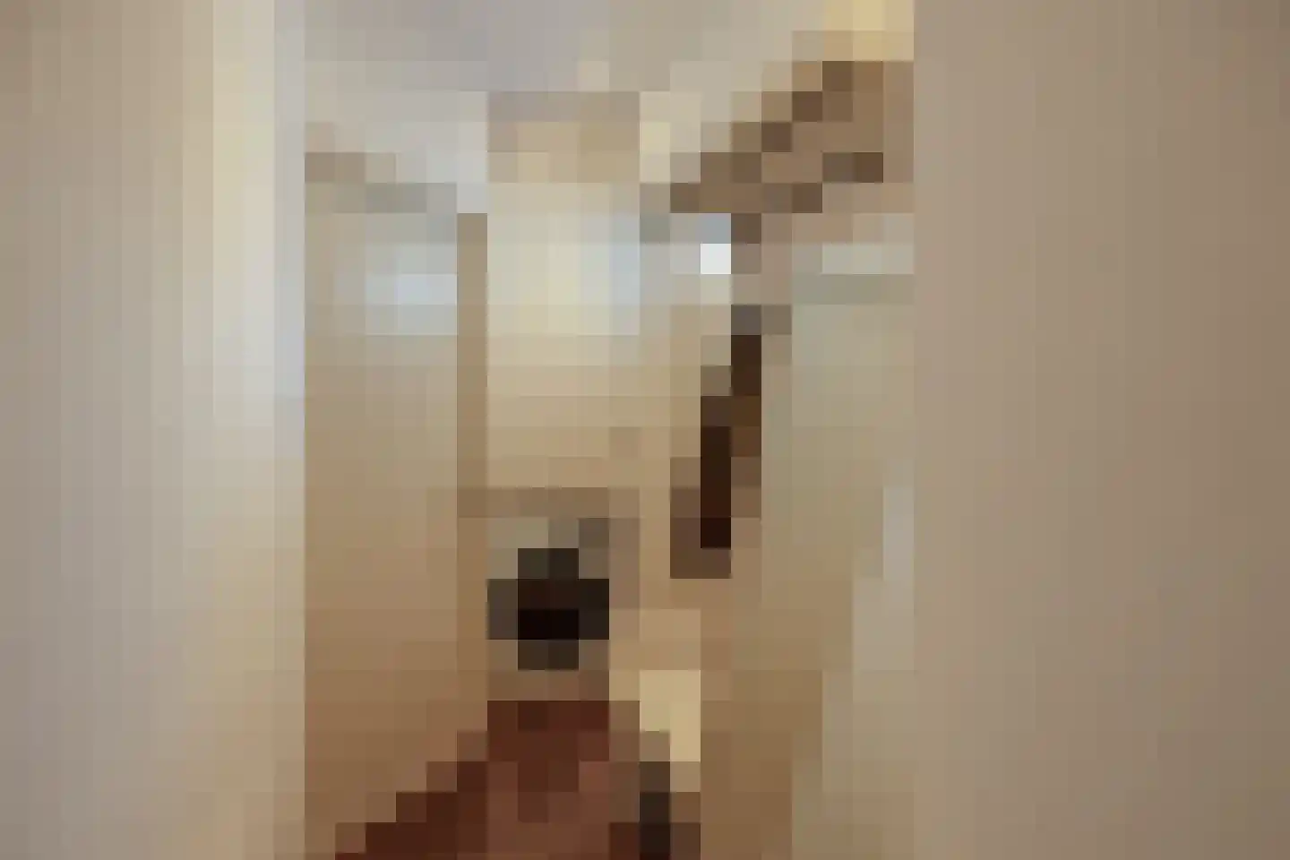 Daalsehof 5 A Nijmegen thumbnail 8