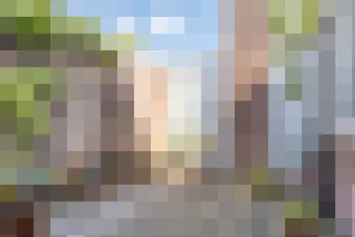 Daalsehof 5 B Nijmegen thumbnail 22