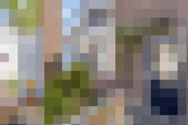Daalsehof 5 B Nijmegen thumbnail 25