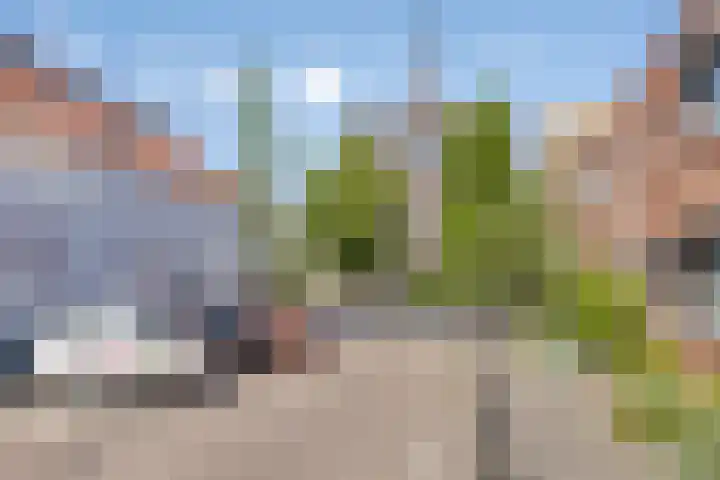 Daalsehof 5 B Nijmegen thumbnail 29