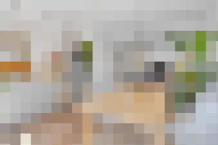 Daalsehof 5 B Nijmegen thumbnail 4