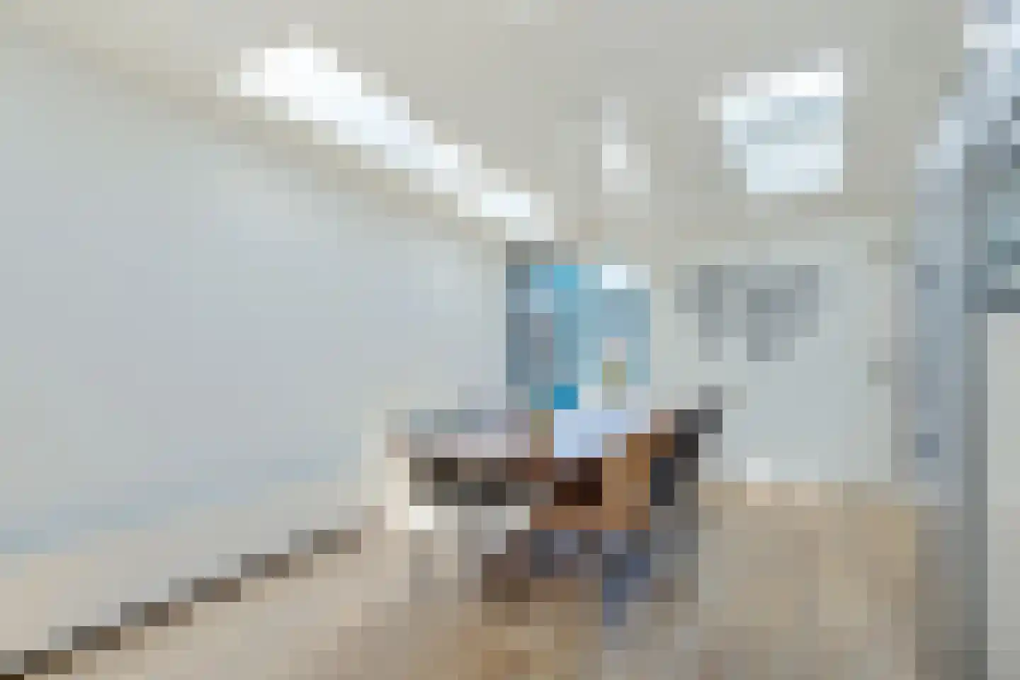 Daalseweg 11 Oud Zuilen thumbnail 15