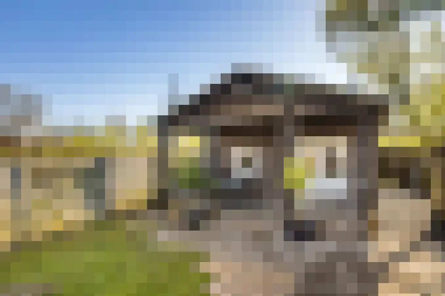 Daalseweg 11 Oud Zuilen thumbnail 35