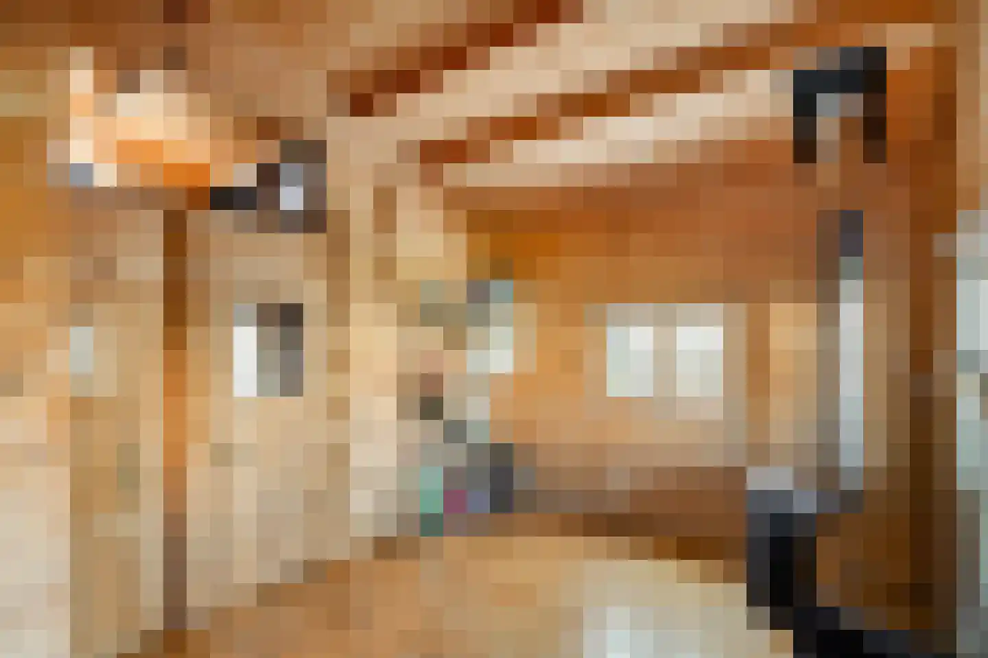 Daalseweg 11 Oud Zuilen thumbnail 38