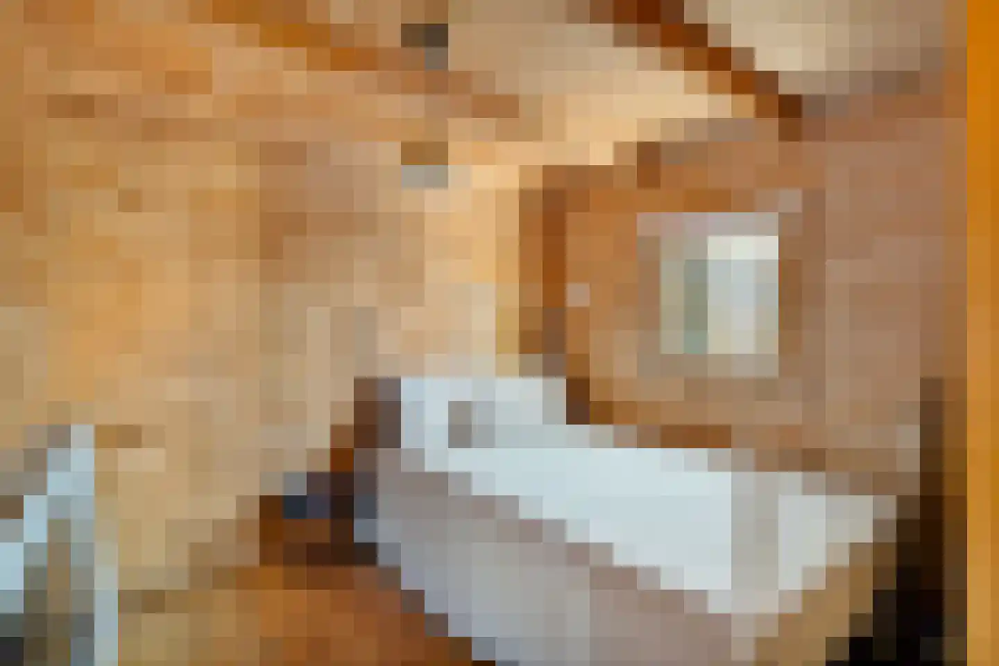 Daalseweg 11 Oud Zuilen thumbnail 42
