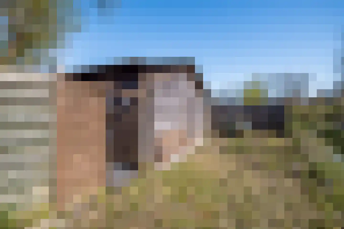 Daalseweg 11 Oud Zuilen thumbnail 45