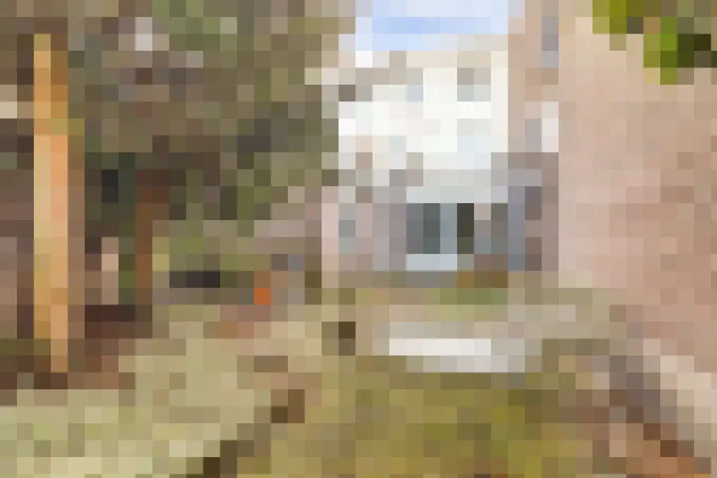 Daalseweg 185 A Nijmegen thumbnail 23
