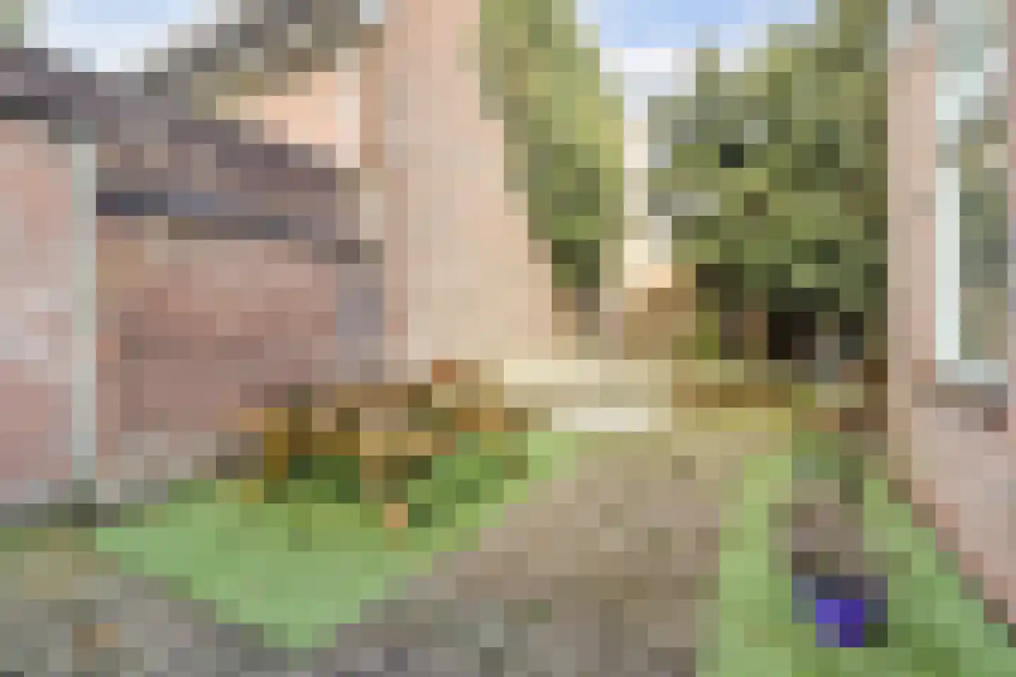 Daalseweg 185 A Nijmegen thumbnail 24