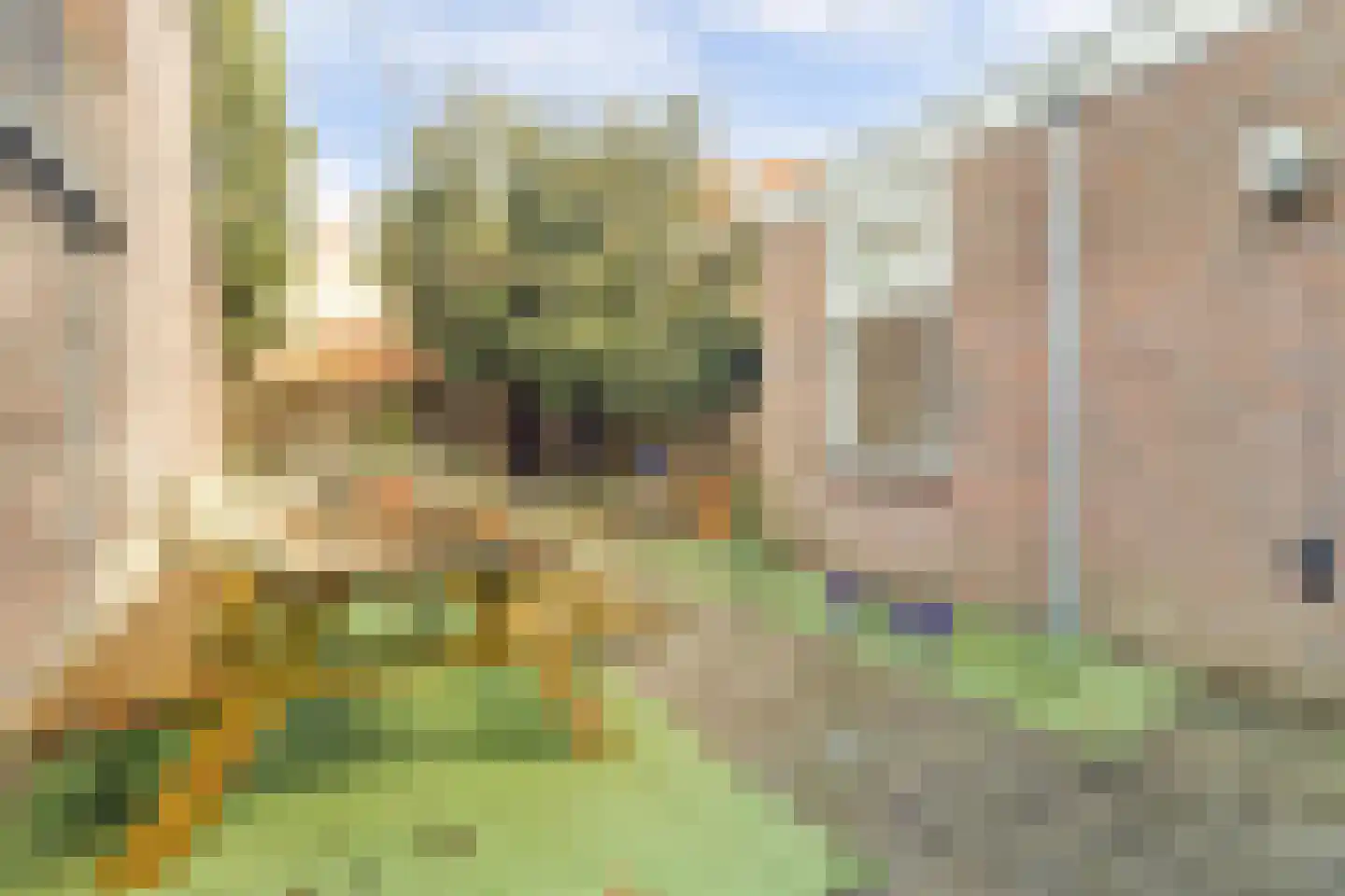 Daalseweg 185 A Nijmegen thumbnail 25