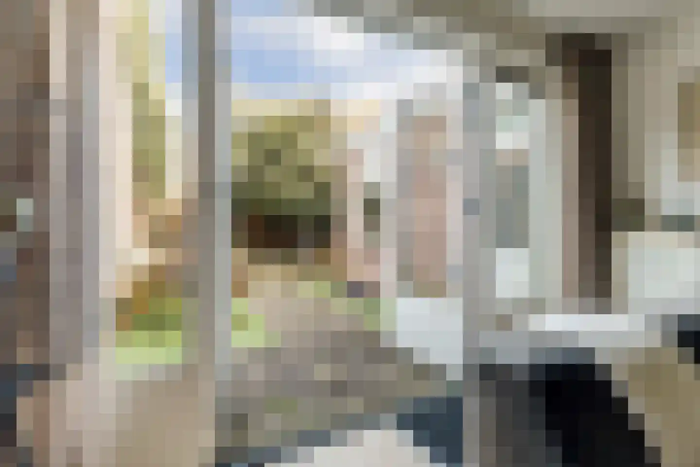 Daalseweg 185 A Nijmegen thumbnail 9