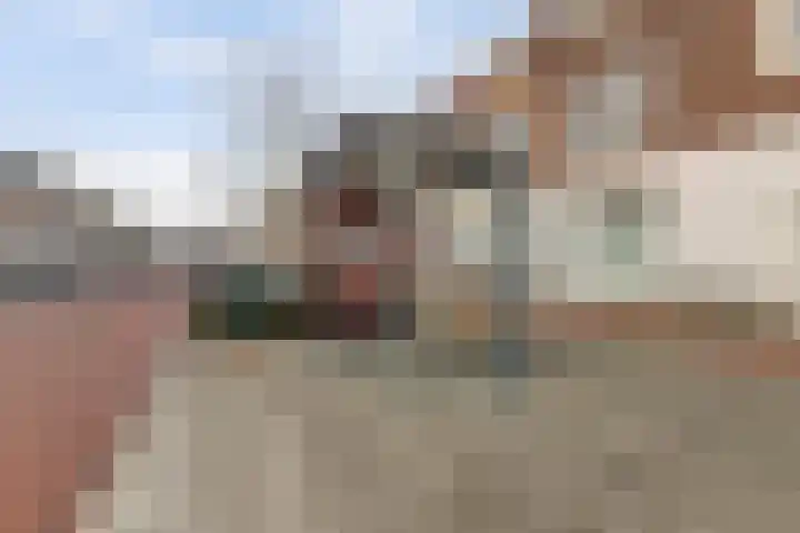 Daalseweg 185 C Nijmegen thumbnail 29