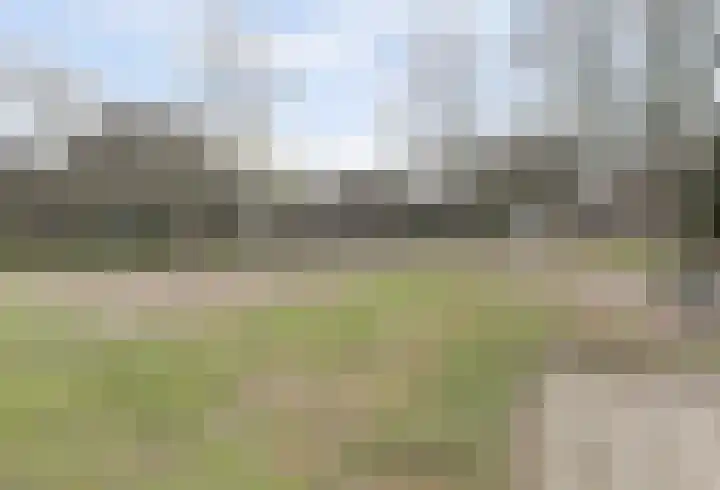 Daalseweg 185 C Nijmegen thumbnail 32