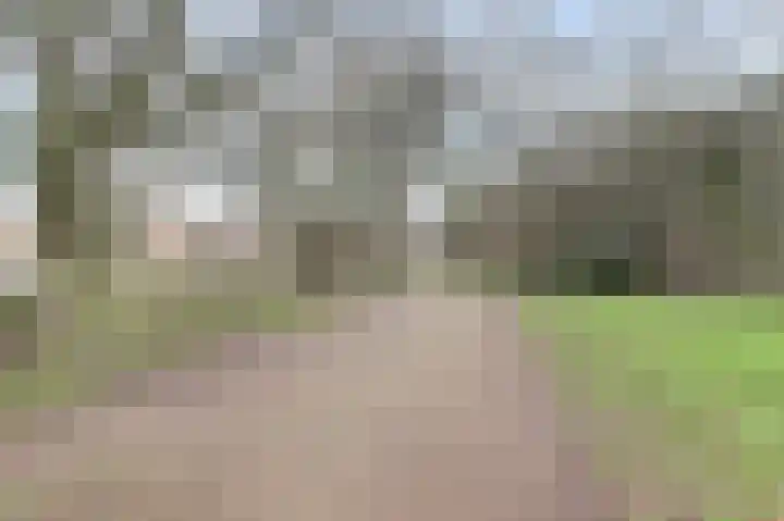 Daalseweg 185 C Nijmegen thumbnail 33