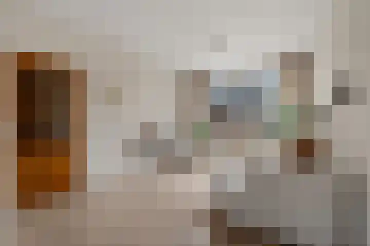 Daalseweg 187 Utrecht thumbnail 12