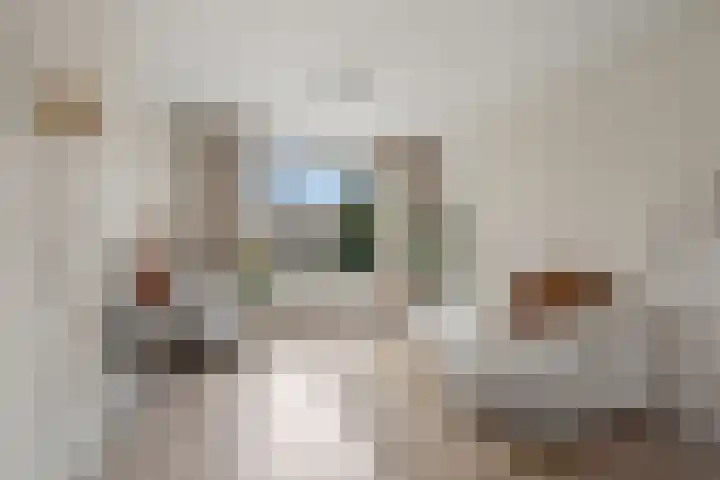 Daalseweg 187 Utrecht thumbnail 13