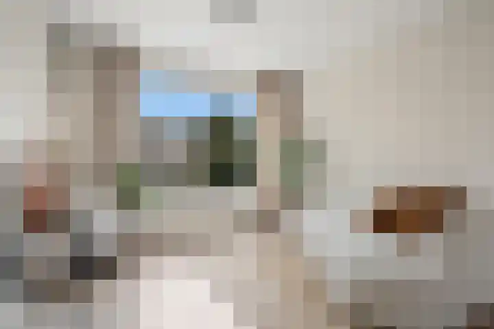 Daalseweg 187 Utrecht thumbnail 14