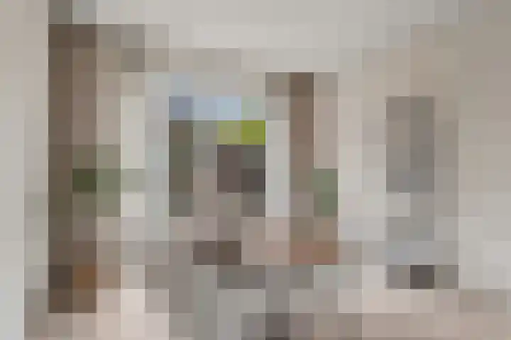 Daalseweg 187 Utrecht thumbnail 20