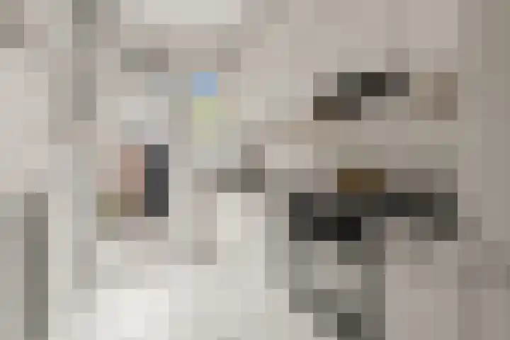 Daalseweg 187 Utrecht thumbnail 25