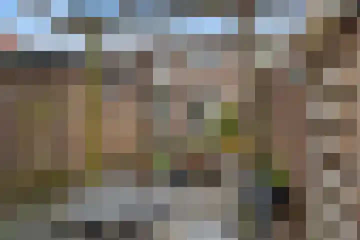 Daalseweg 187 Utrecht thumbnail 30