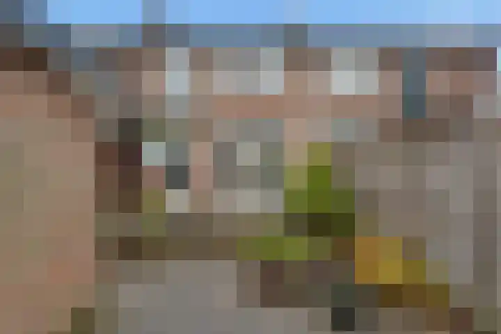 Daalseweg 187 Utrecht thumbnail 31