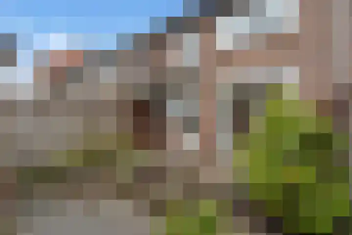 Daalseweg 187 Utrecht thumbnail 32