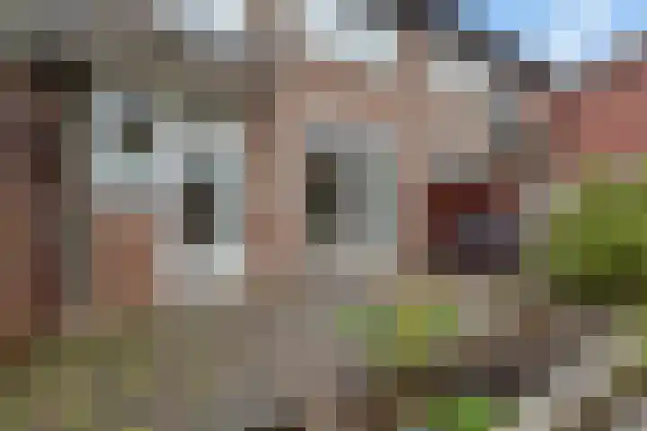 Daalseweg 187 Utrecht thumbnail 33
