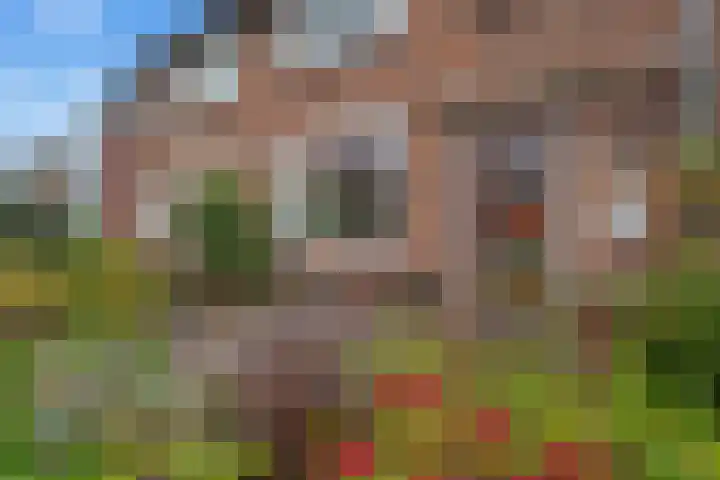 Daalseweg 187 Utrecht thumbnail 6