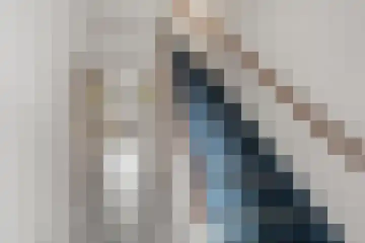 Daalseweg 187 Utrecht thumbnail 8