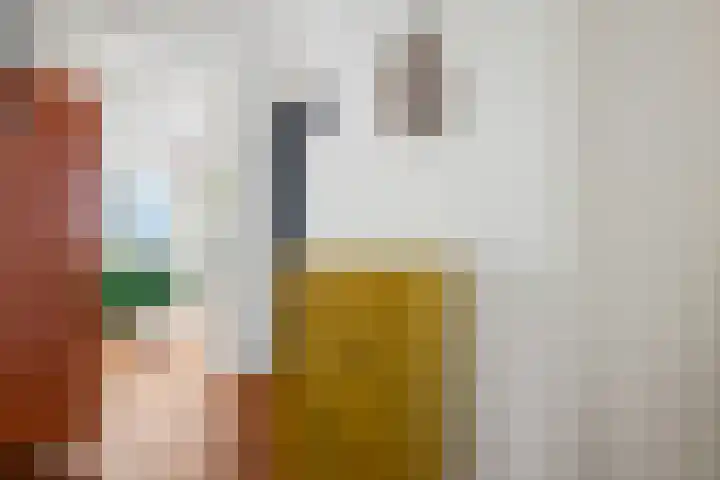 Daalseweg 232 C Nijmegen thumbnail 10