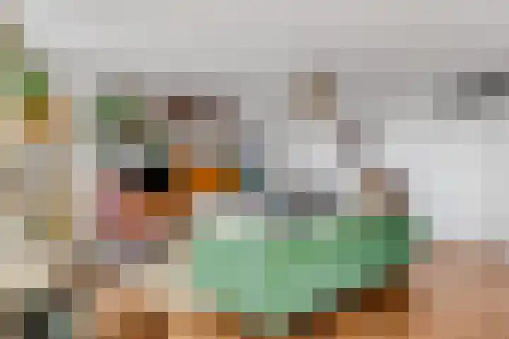 Daalseweg 232 C Nijmegen thumbnail 13