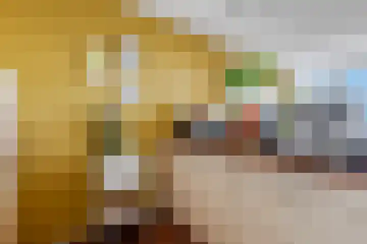 Daalseweg 232 C Nijmegen thumbnail 15