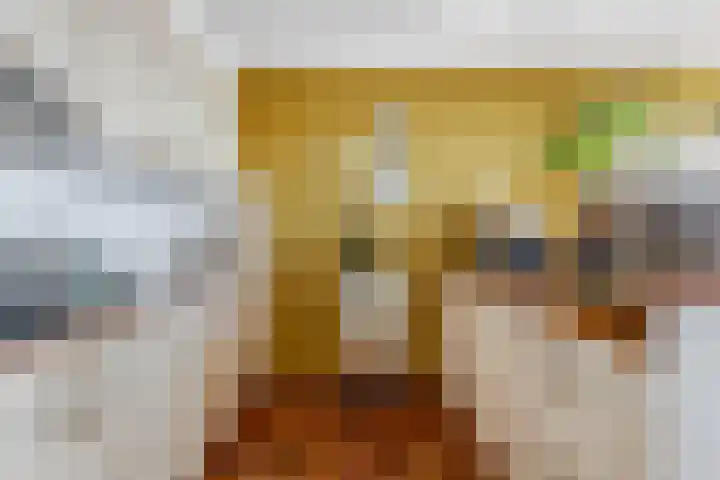 Daalseweg 232 C Nijmegen thumbnail 16