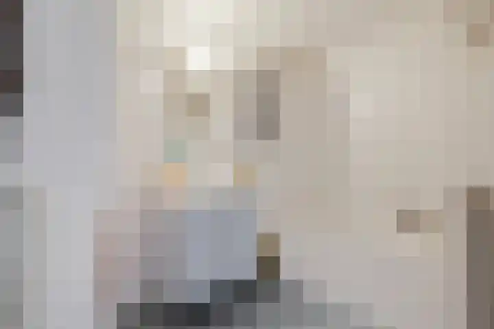 Daalseweg 232 C Nijmegen thumbnail 17